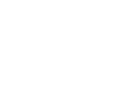 Evolution games at Oly Bet Casino